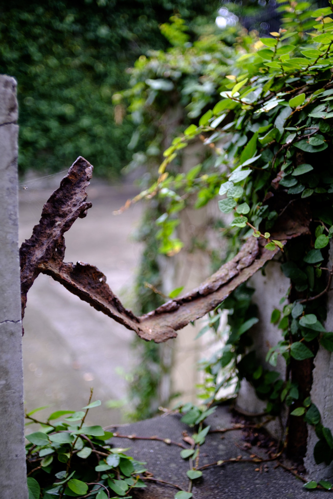 レクイエム　＜朽ちていく＞