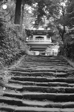 山門に続く道