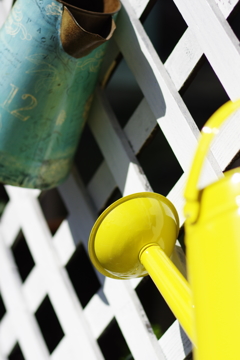 Watering can