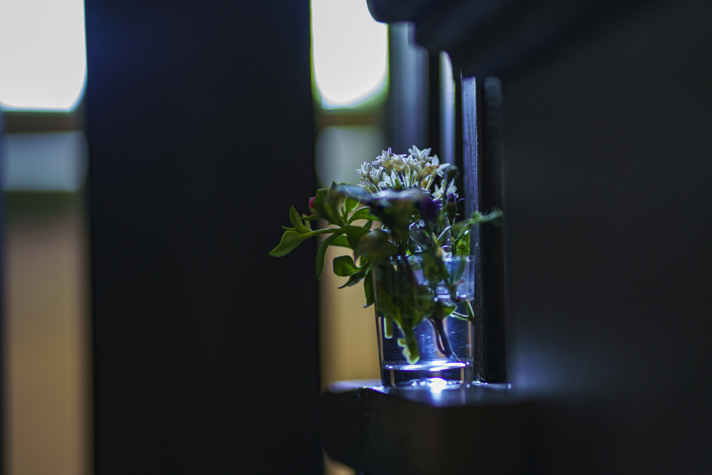 stairs and flowers