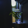 stairs and flowers