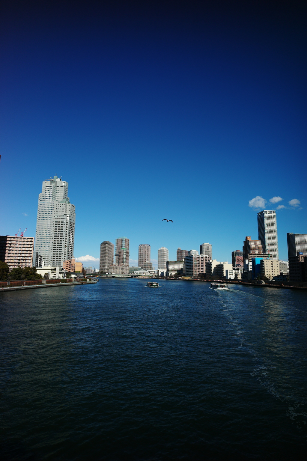 カモメはかもめ