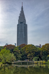 コダクロームな秋の空