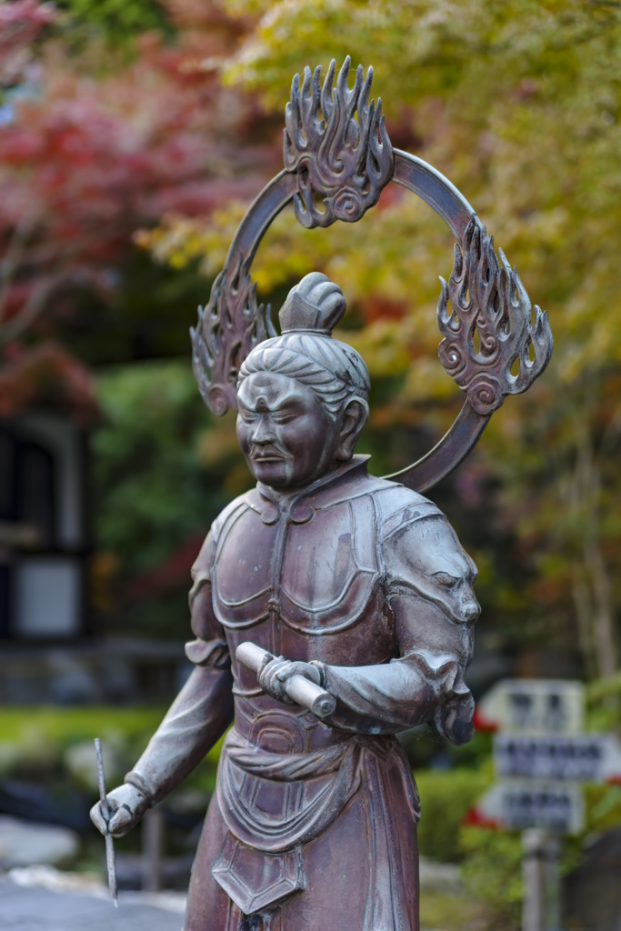 紅葉と黄葉の分界