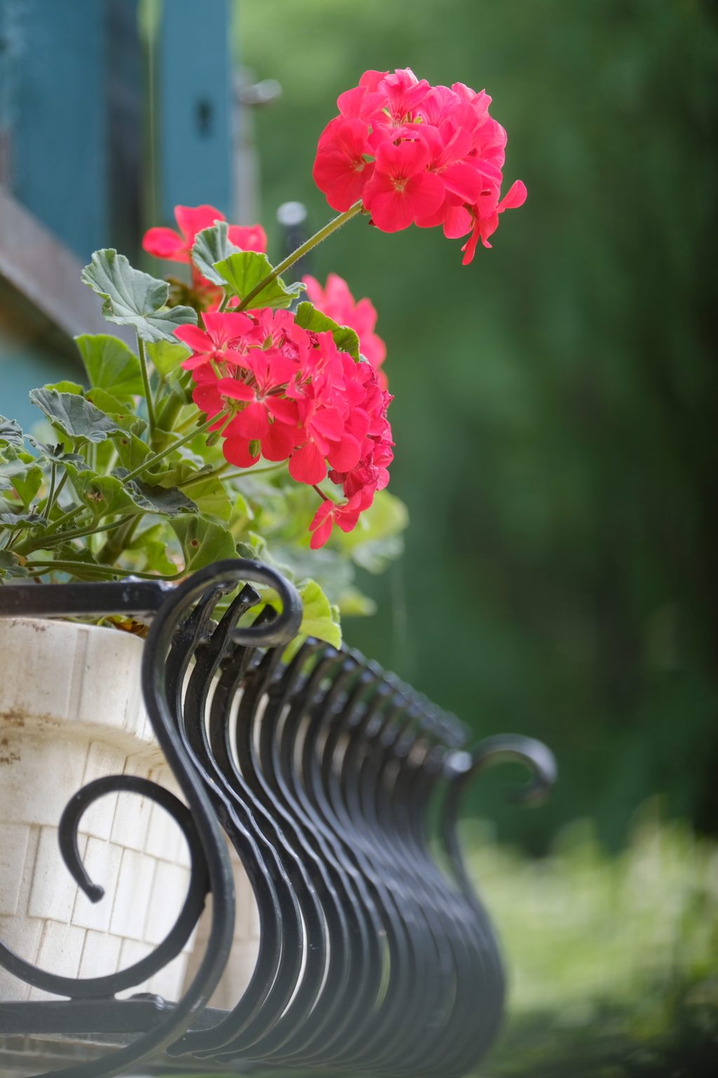 window planter