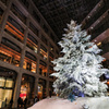 With best wishes for Merry Christmas