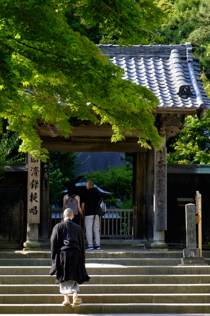 四弘誓願