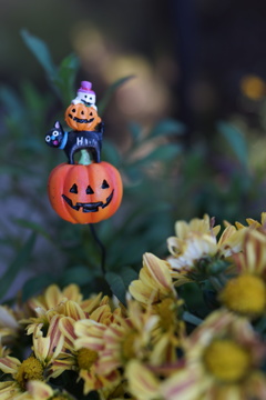 Jack-o'-Lantern