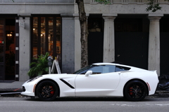 stingray