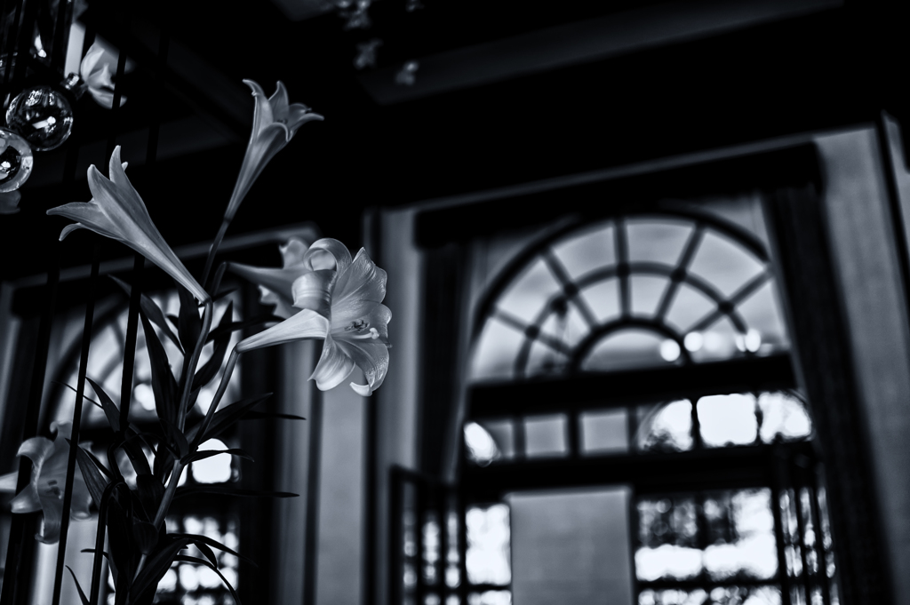 refined beauty