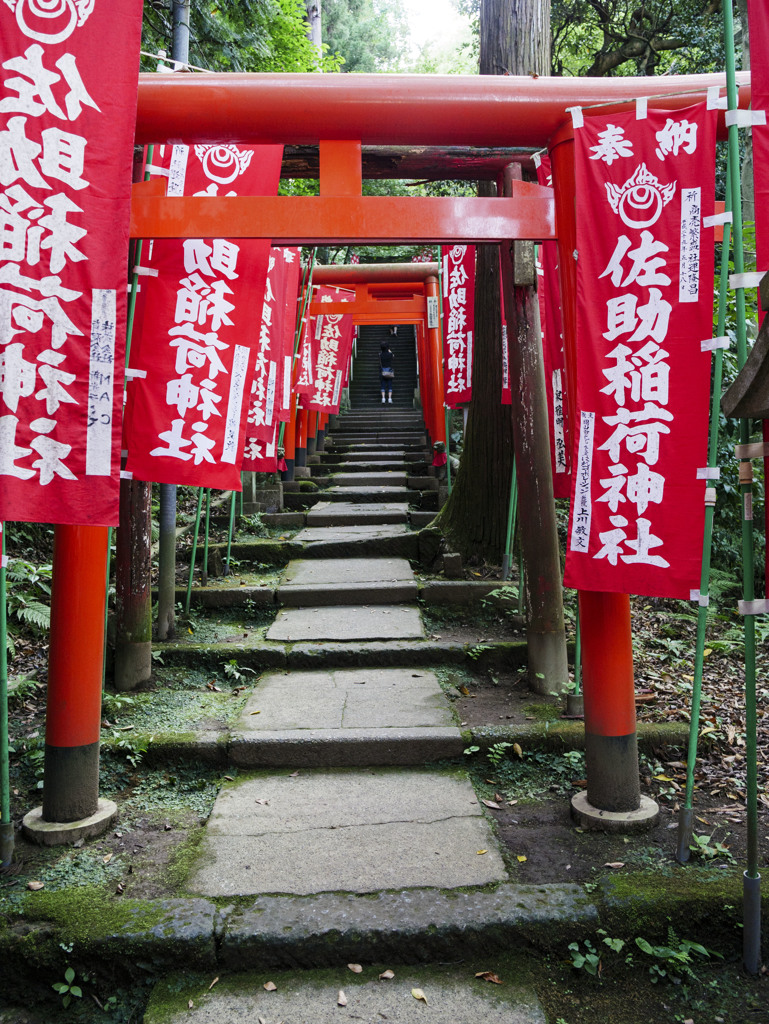 参道