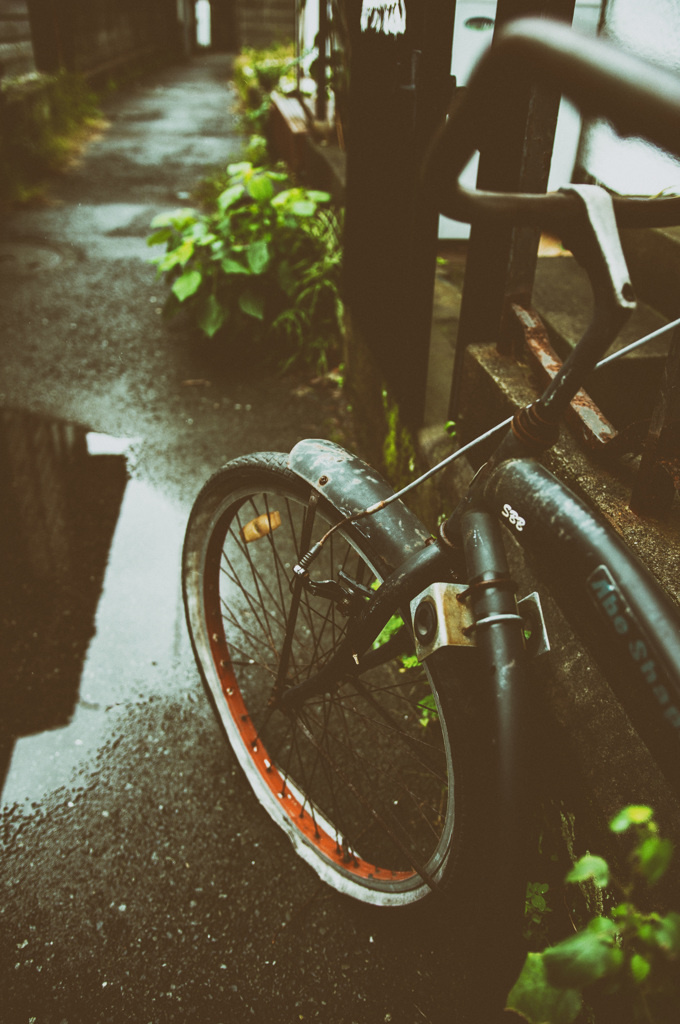 雨上がり