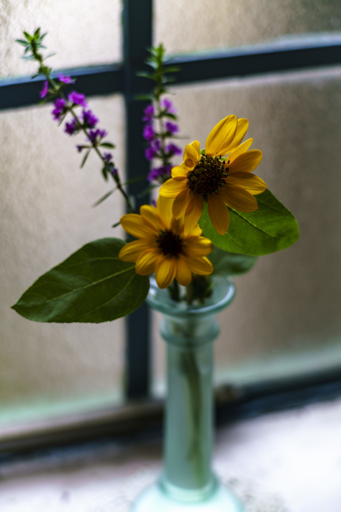 by the window