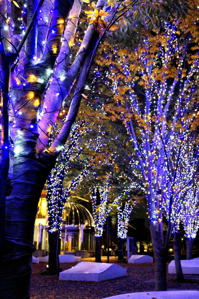 Bright Illumination