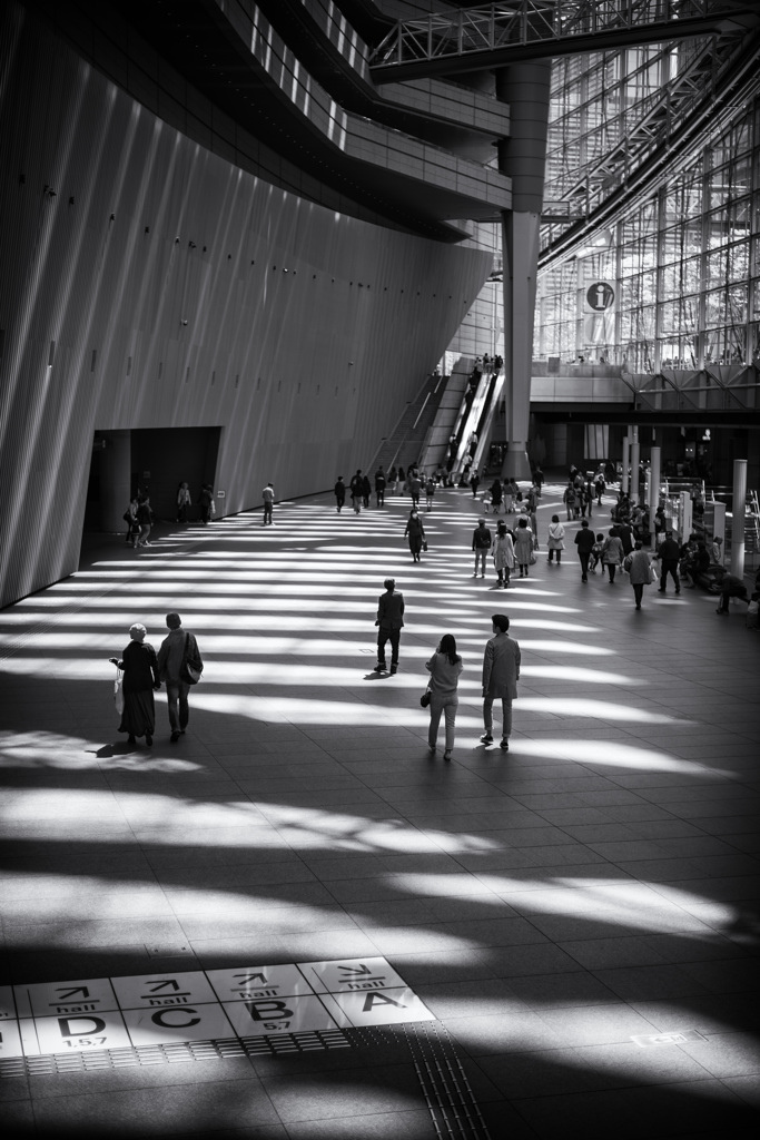 shadows
