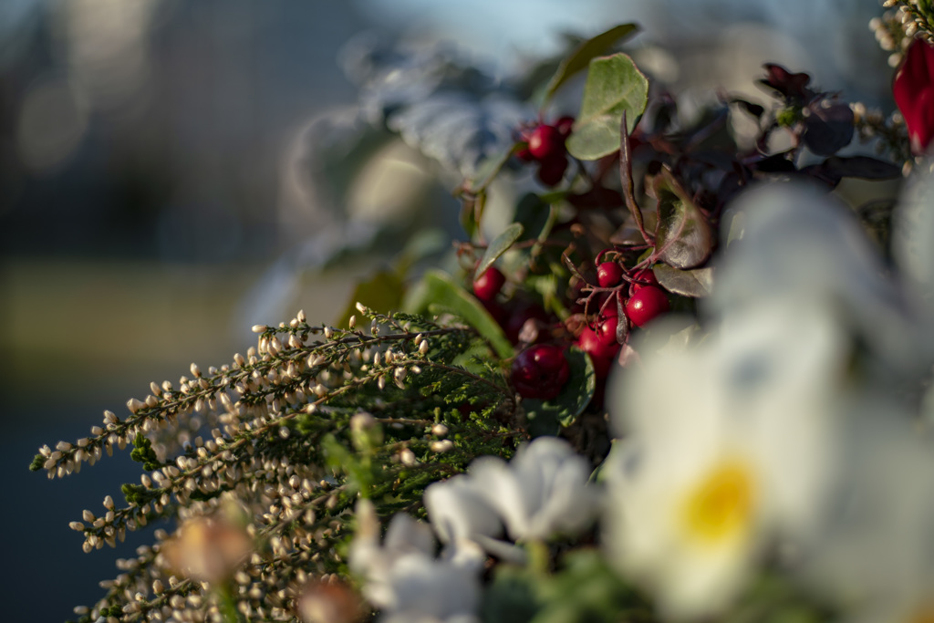 winter flower basket