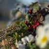winter flower basket