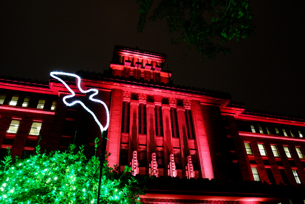 かもめが翔んだ