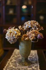 Withering Hydrangea