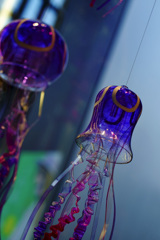  jellyfish in blue　＜銀座＞