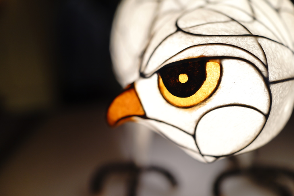 glare