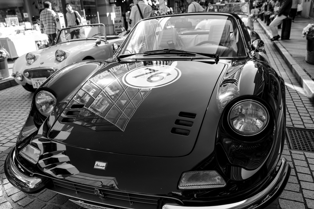 Ultimate Beauty in BW