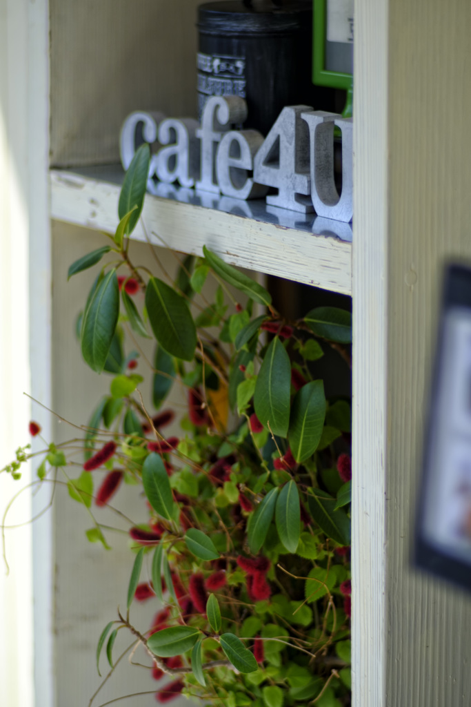 cafe for u