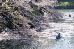 Floral Raft