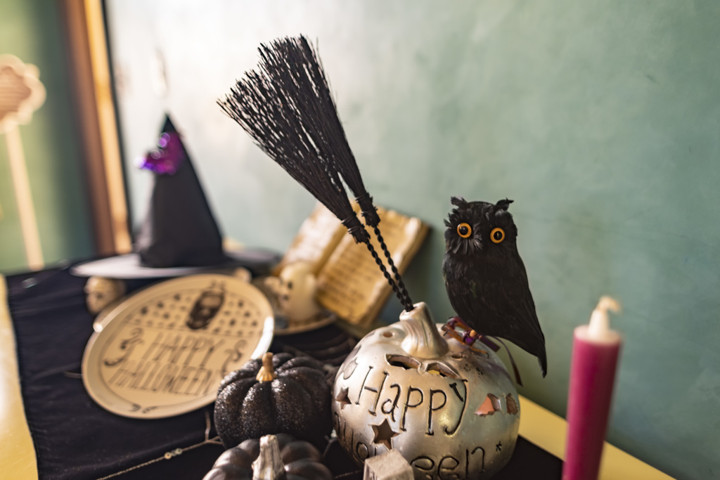 black owl