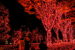新宿ミナミルミ　＜PINKY RED ILLUMINATION>
