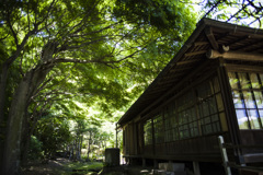 緑の書院