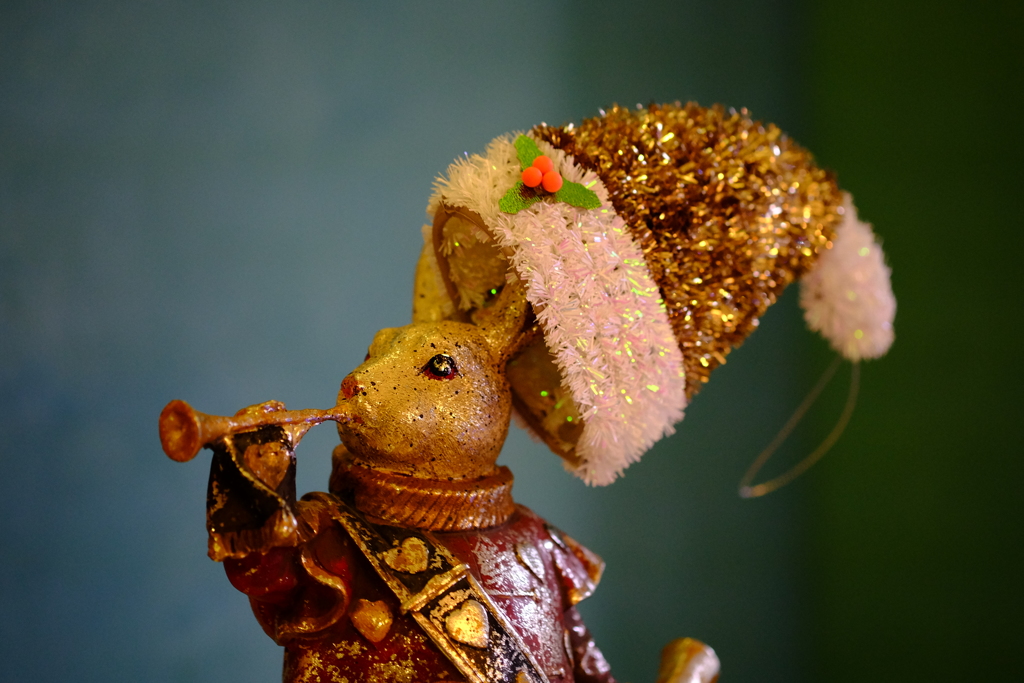 Haigha wearing a Santa Hat 