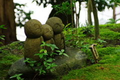 いつも一緒 (#^.^#)