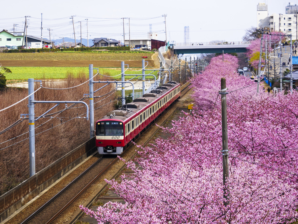 春を駆け抜ける