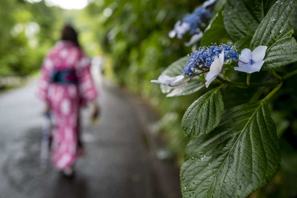 Yukata Girl