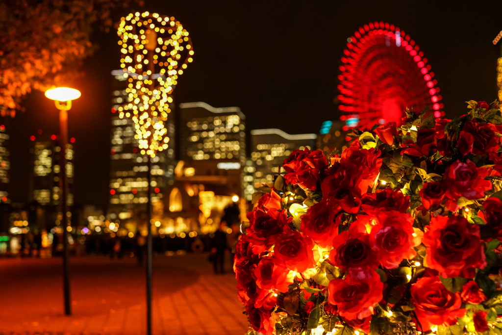 Christmas Decoration