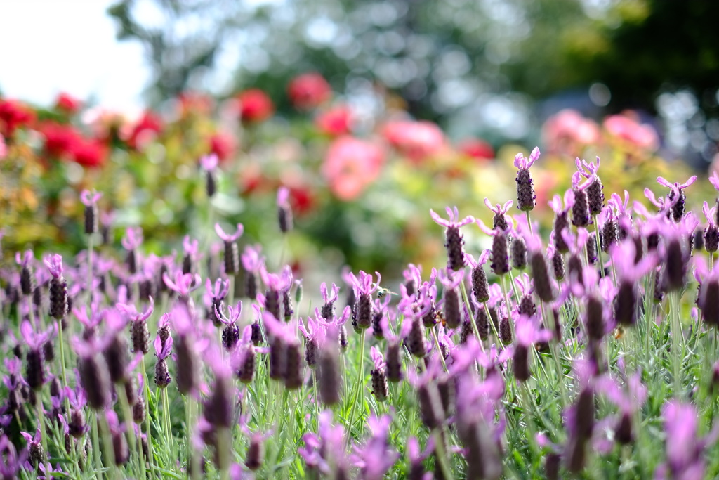 Prescription for Spring Colour
