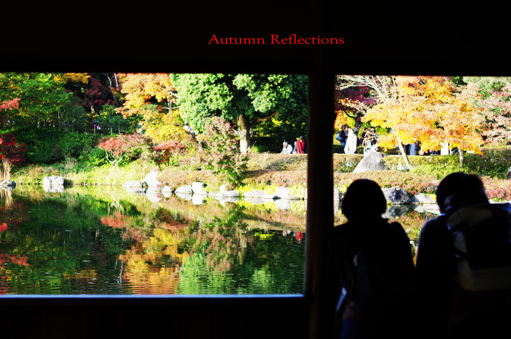 Autumn Reflections