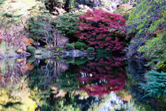 御苑の秋