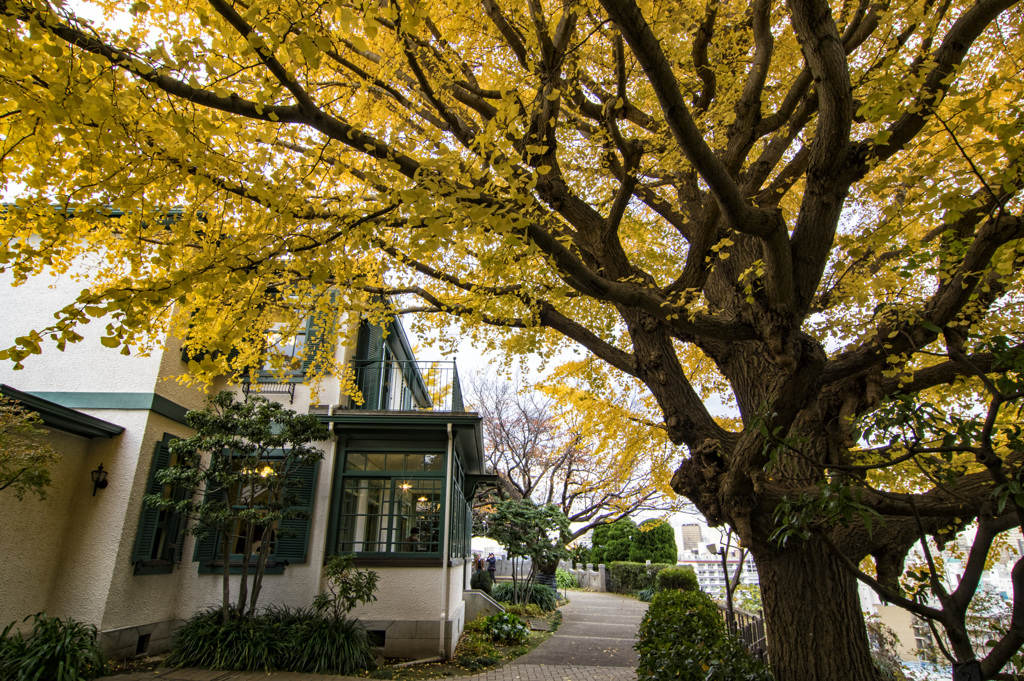 黄葉とブラフ18番館