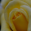 decrease of love