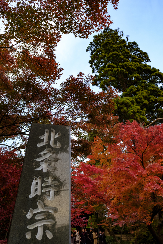 秋の装い