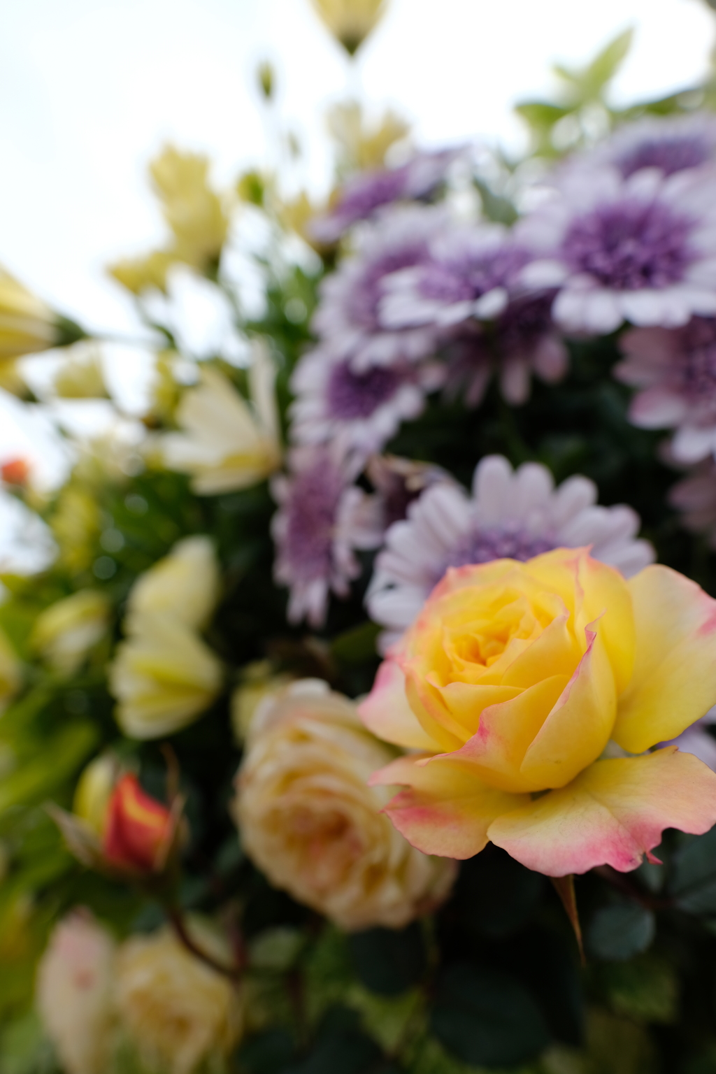 Hanging Basket #2　