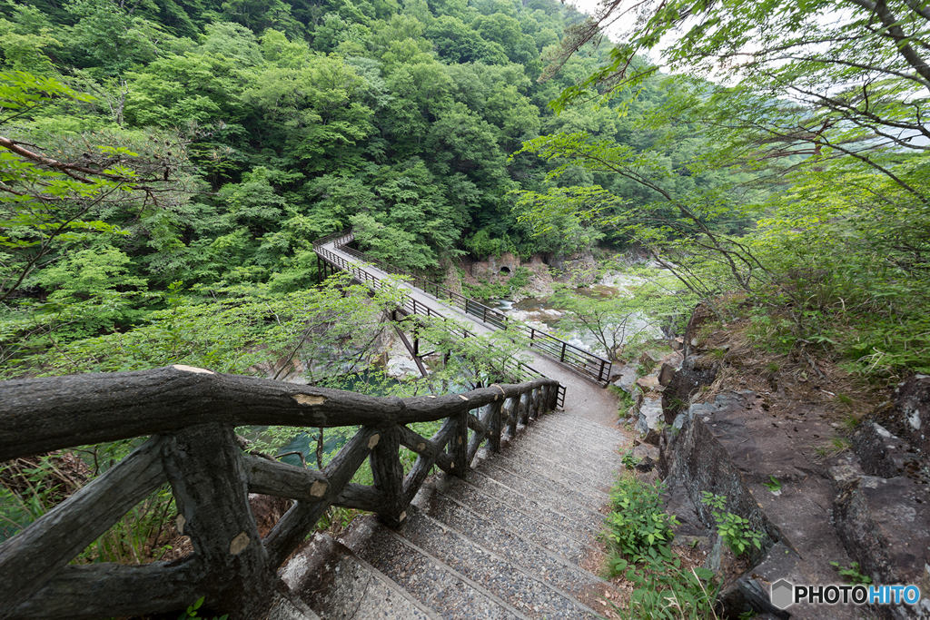 橋を撮ってきたZ