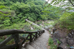 橋を撮ってきたZ