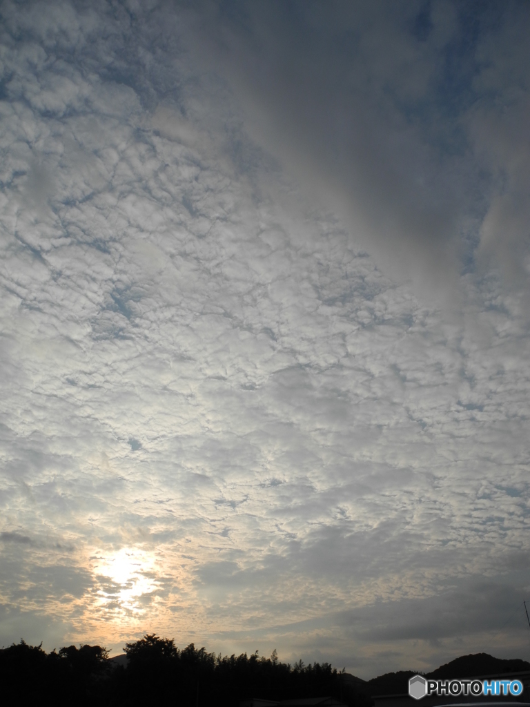 夕陽