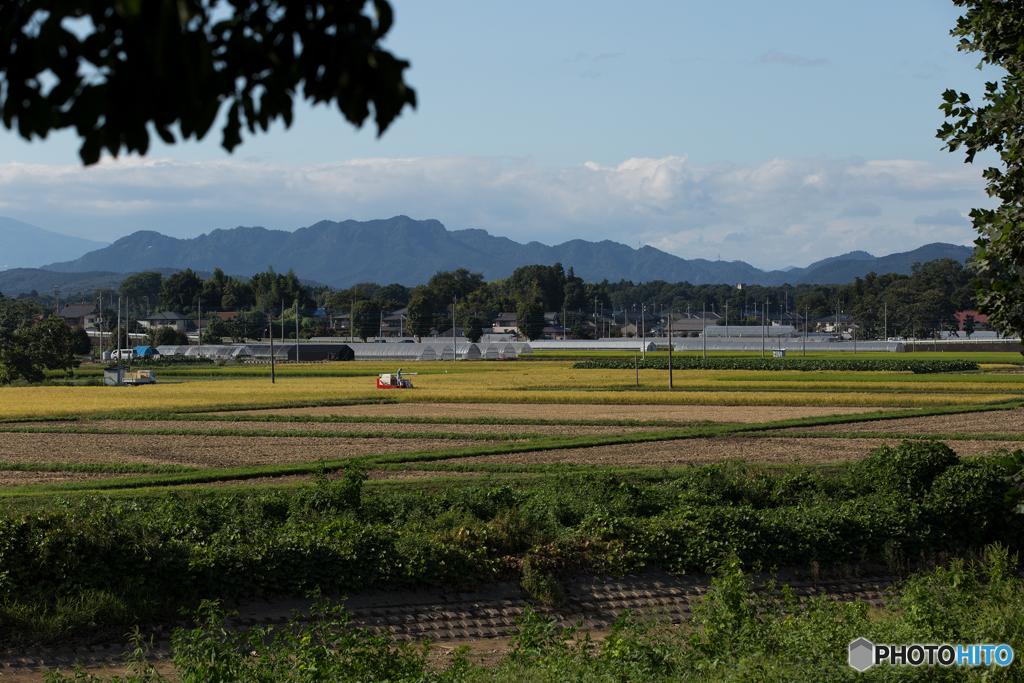 日本の風景
