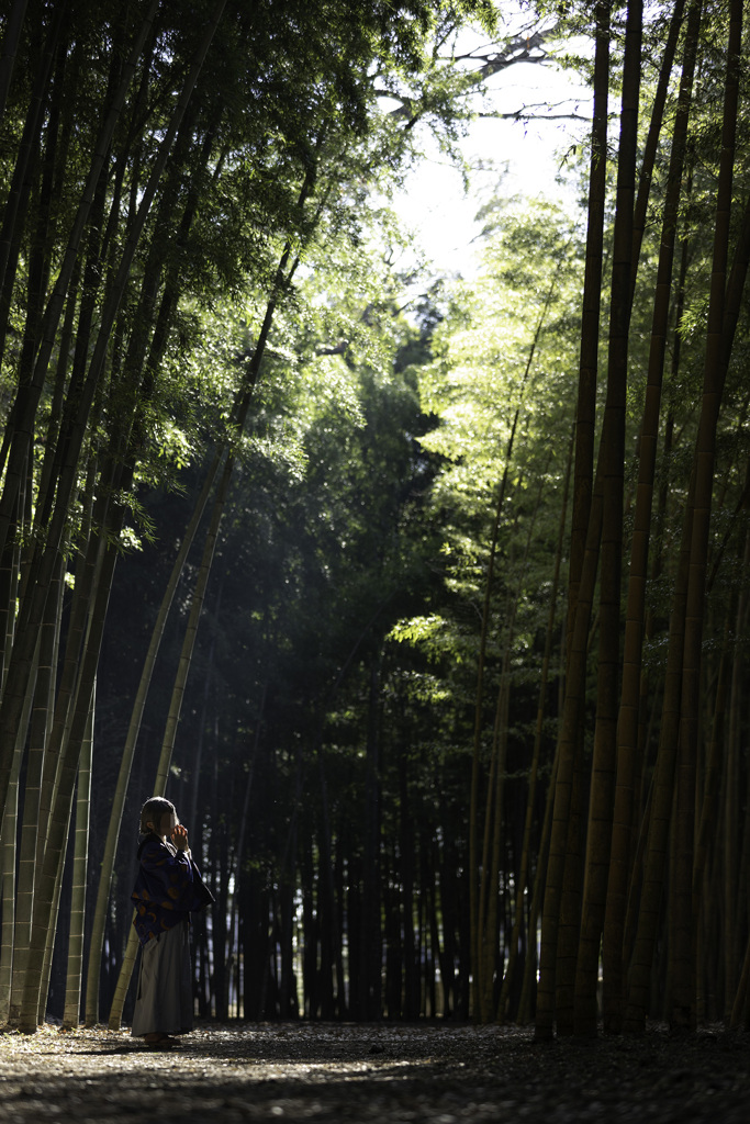 お久しぶりです