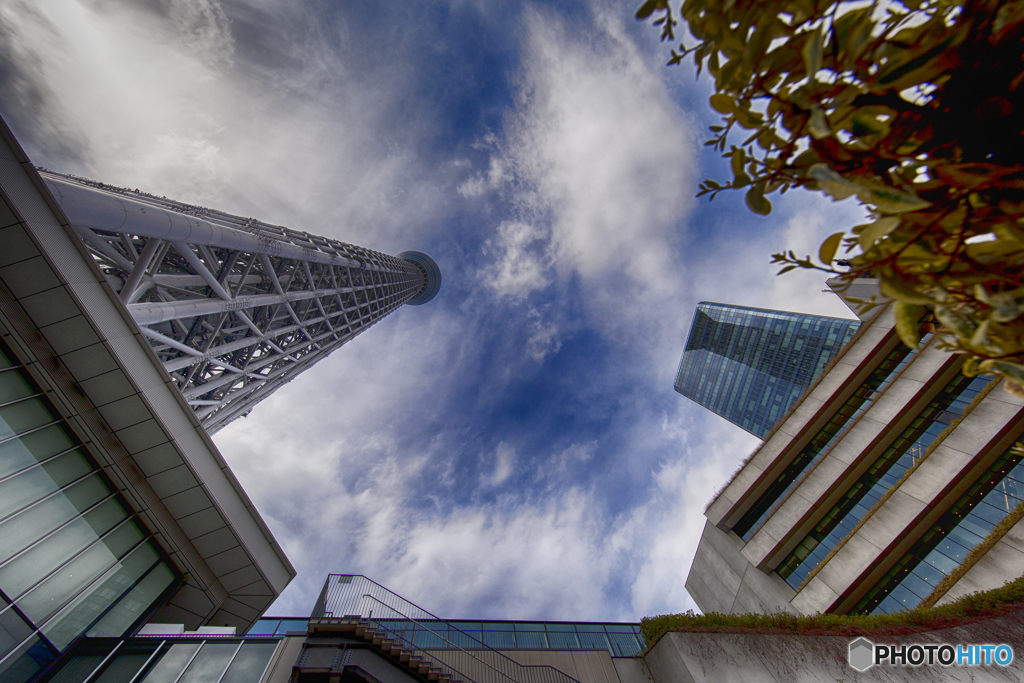 two towers