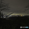 夜情